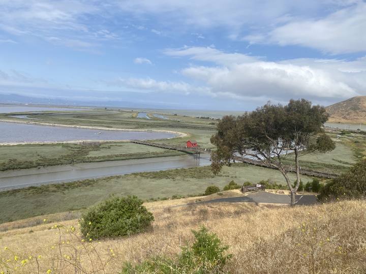 Bay wetlands channel