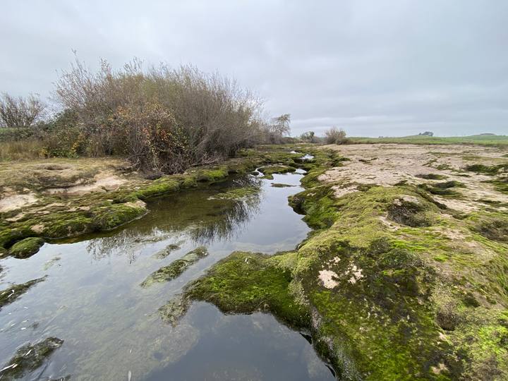 Tidal pools at low tide